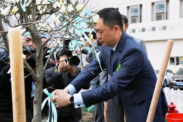 众人齐种白玉兰 众人齐种白玉兰