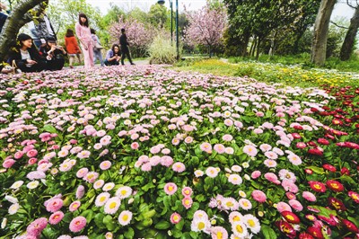 浙江杭州西溪花朝节正式启幕