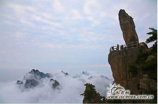 点击查看原图