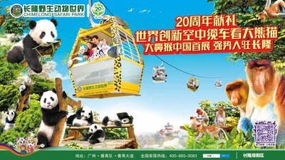 国庆到长隆野生动物世界“瞰”尽全球国宝。 国庆到长隆野生动物世界“瞰”尽全球国宝。