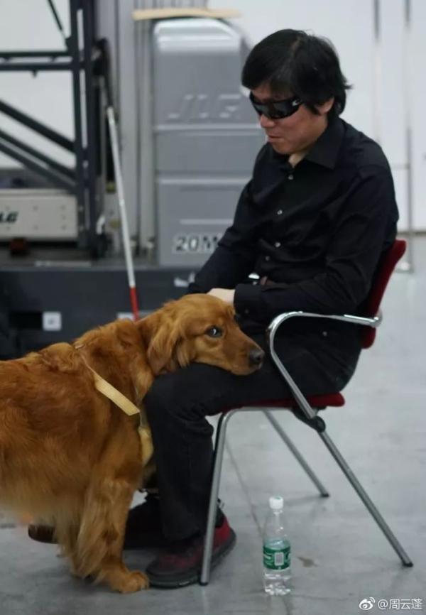 盲人歌手入住上海酒店导盲犬被拒:被当宠物犬,法律缺规定