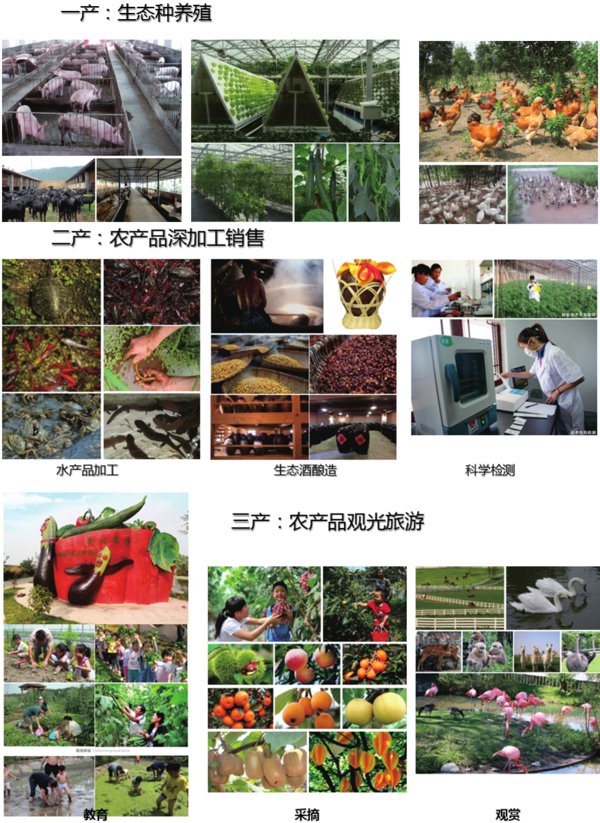 可复制、可带动、可示范的美丽乡村建设项目 可复制、可带动、可示范的美丽乡村建设项目