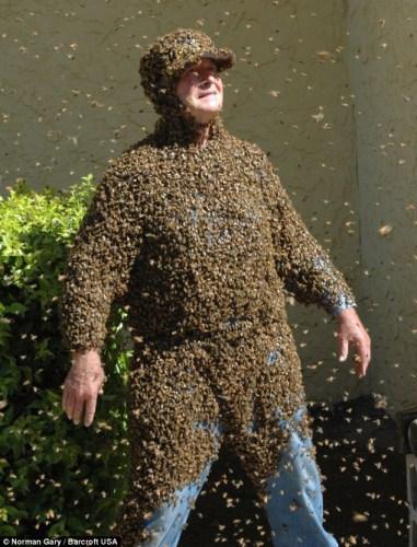 美养蜂人招10万蜜蜂附体 曾被蜜蜂哲咬7万多次(图)