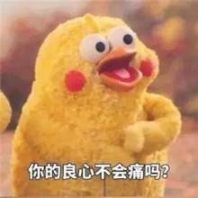 万豪OXD，暑假出游的必备本领