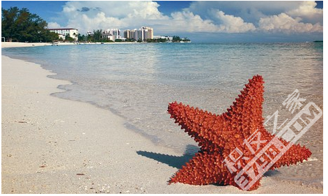 巴哈马海洋俱乐部四季度假酒店将全新亮相