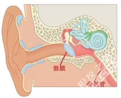这样坐飞机的人 耳朵最后都罢工了