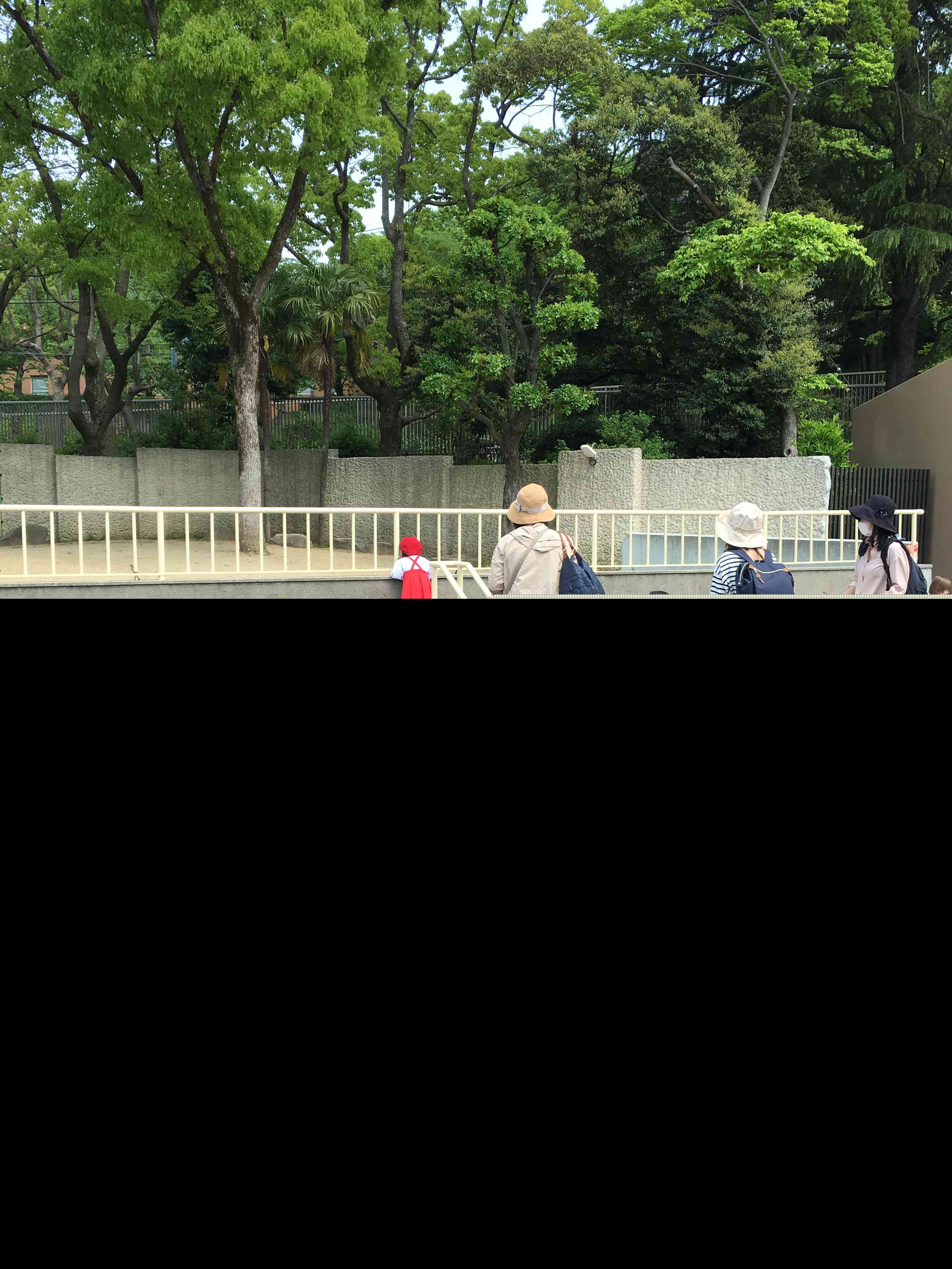 IMG_9236.jpg IMG_9236.jpg