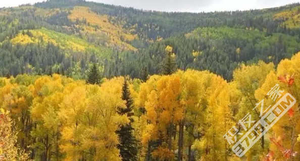 110942bt7kw0qfrdwjpsfp 110942bt7kw0qfrdwjpsfp