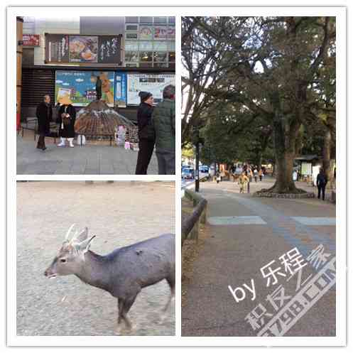 18.奈良.jpg