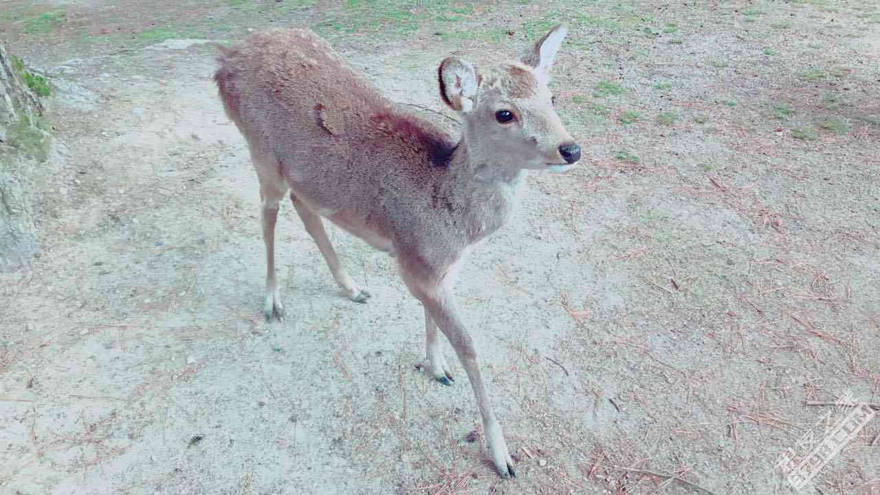 微信图片_20170405204855.jpg 微信图片_20170405204855.jpg
