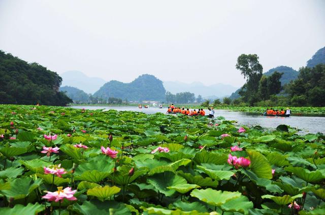 普者黑旅游攻略