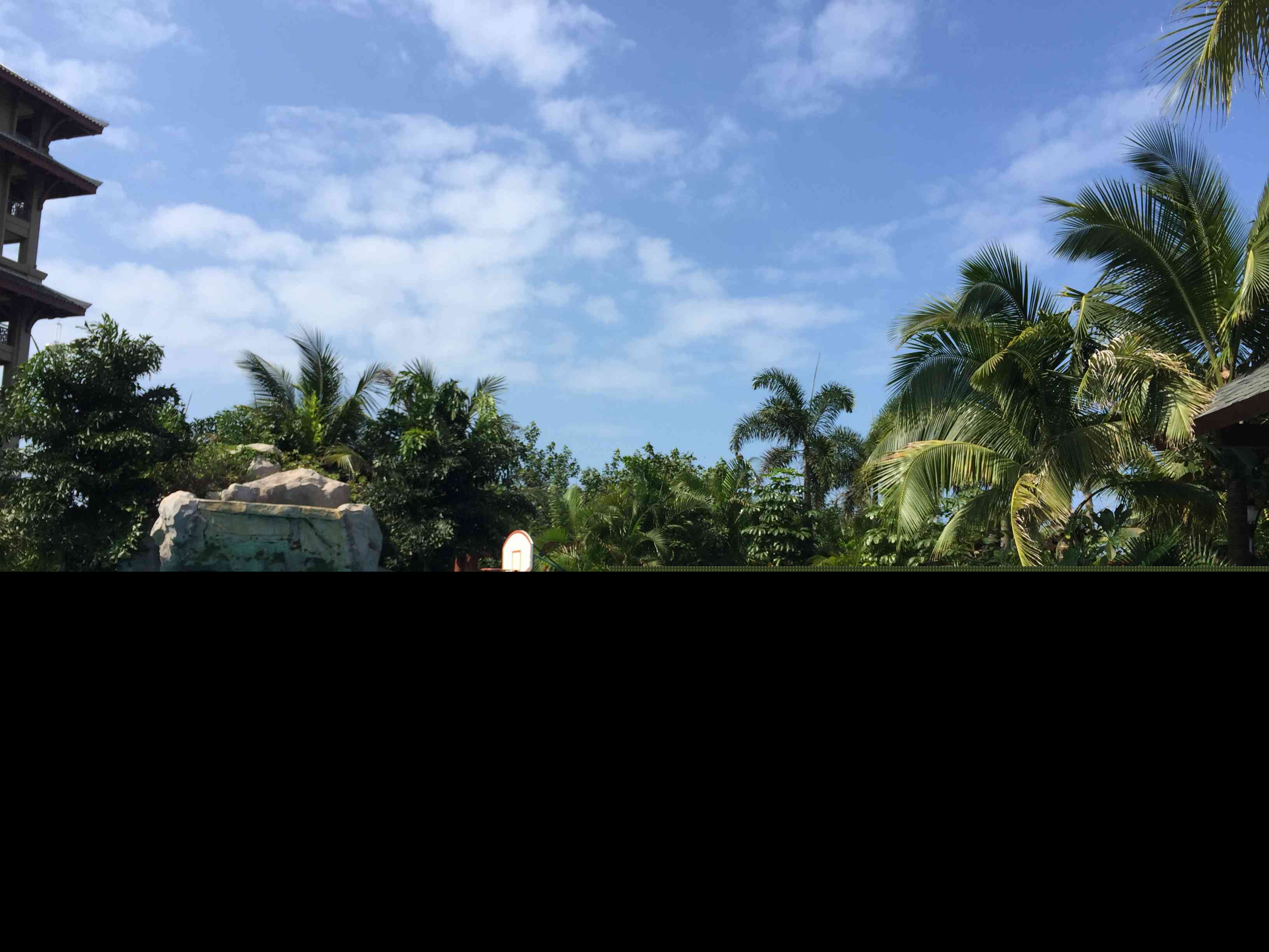 IMG_3111.JPG IMG_3111.JPG